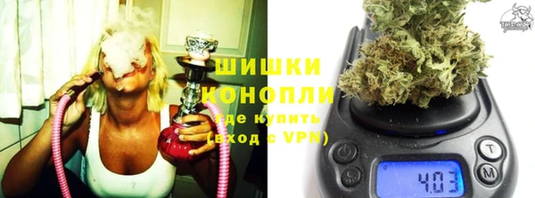 ГАЛЛЮЦИНОГЕННЫЕ ГРИБЫ Козельск