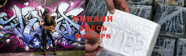 PSILOCYBIN Инсар