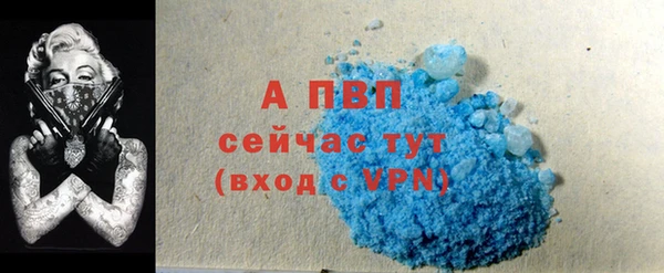 ГАЛЛЮЦИНОГЕННЫЕ ГРИБЫ Козельск