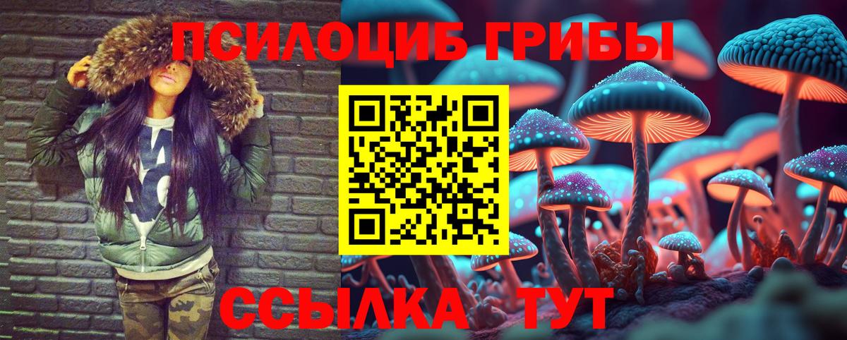 Строитель  Псилоцибиновые грибы прущие грибы  Вход с VPN 